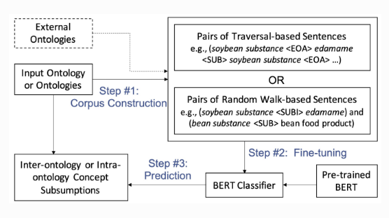 Contextual Semantic Embeddings for Ontology Subsumption Prediction