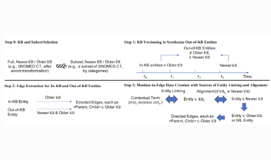 Ontology Enrichment from Texts: A Biomedical Dataset for Concept Discovery and Placement